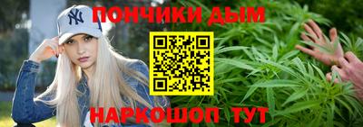 индика Ирбит