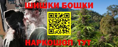 индика Ирбит