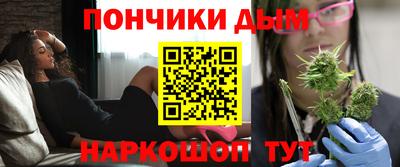 индика Ирбит