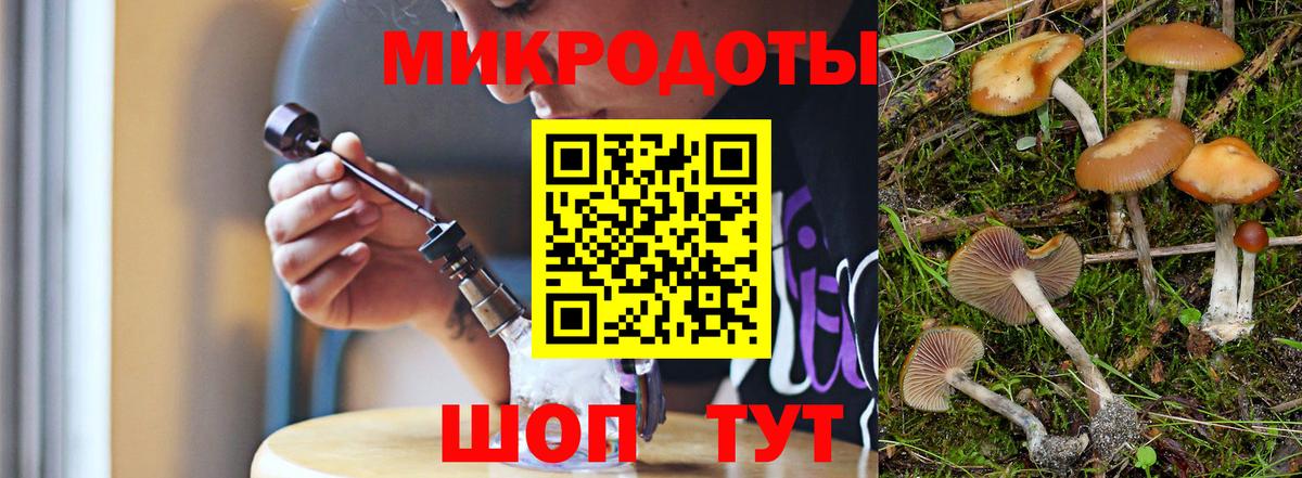 Малгобек  Галлюциногенные грибы Psilocybe  Псилоцибиновые грибы прущие грибы  Вход с VPN 